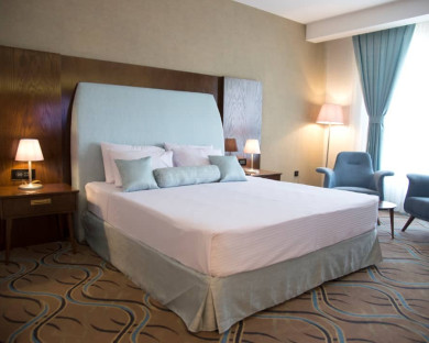 هتل قصر الضیافه قدس مشهد 23