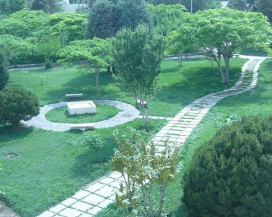 هتل بین المللی هما 1 مشهد 14