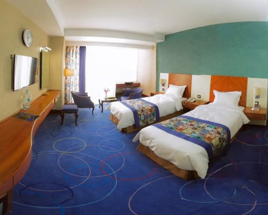 هتل بین المللی هما 1 مشهد 19