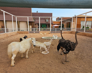 هتل گلدن پالاس مشهد 26