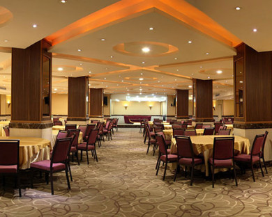 هتل بزرگ تهران 11