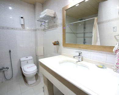 هتل ارم تهران 12