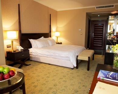 هتل اسپیناس بلوار تهران 46