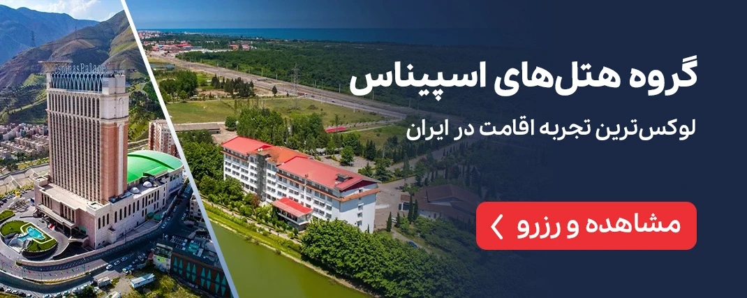 گروه هتل های اسپیناس