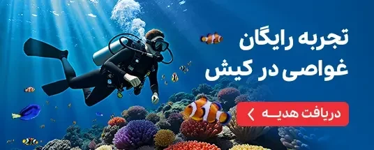 غواصی در کیش