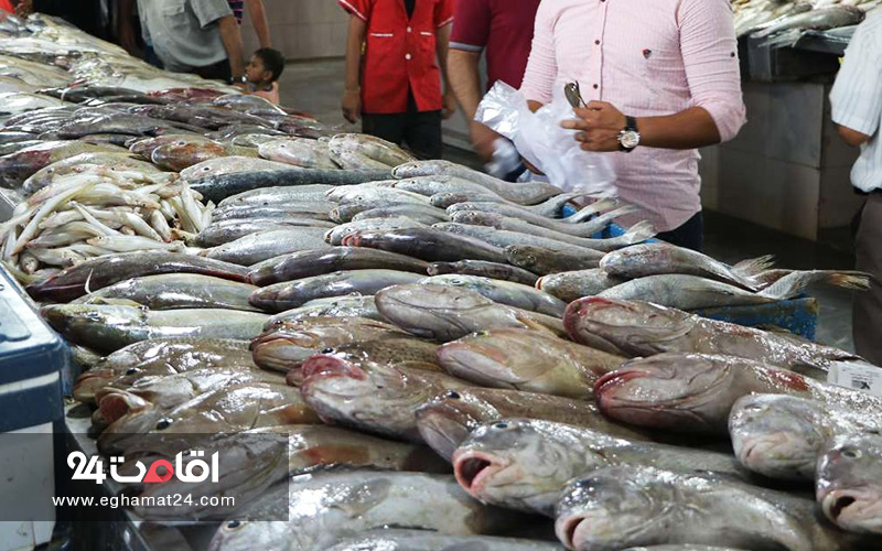 بازار ماهی خلیج فارس اصفهان