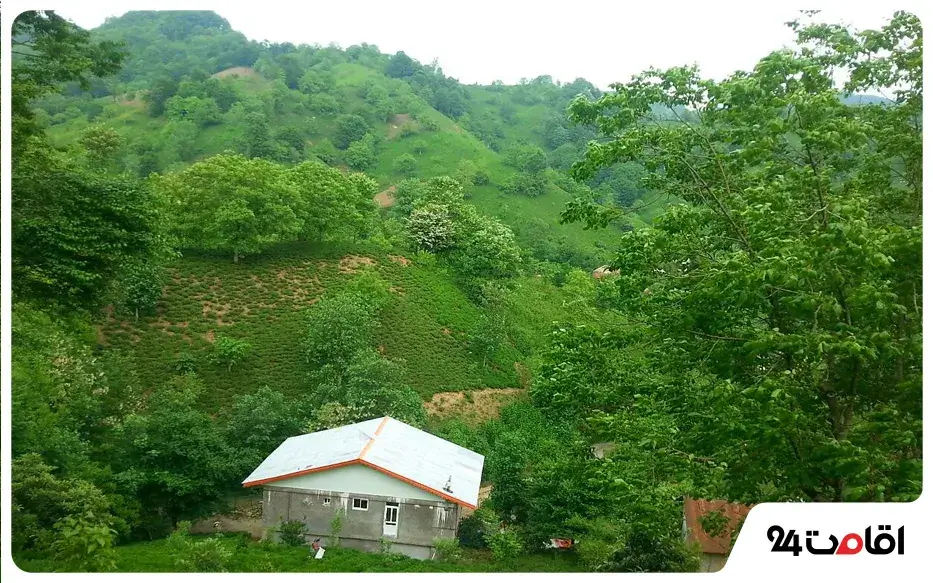 روستای سر چشمه لاهیجان