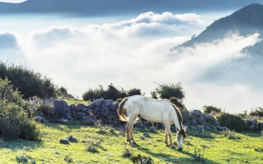 فیلبند مازندران