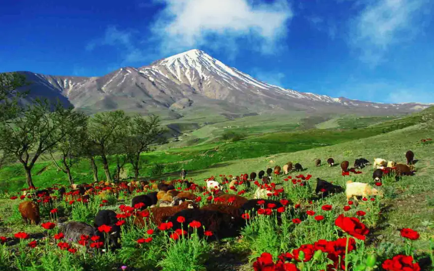 روستای پلور یکی از مناطق خنک در مازندران