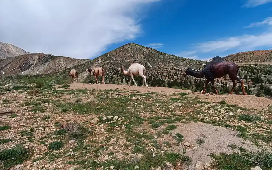 پارک کوهستانی دراک شیراز