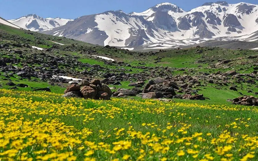 دره جنگلی ایردموسی