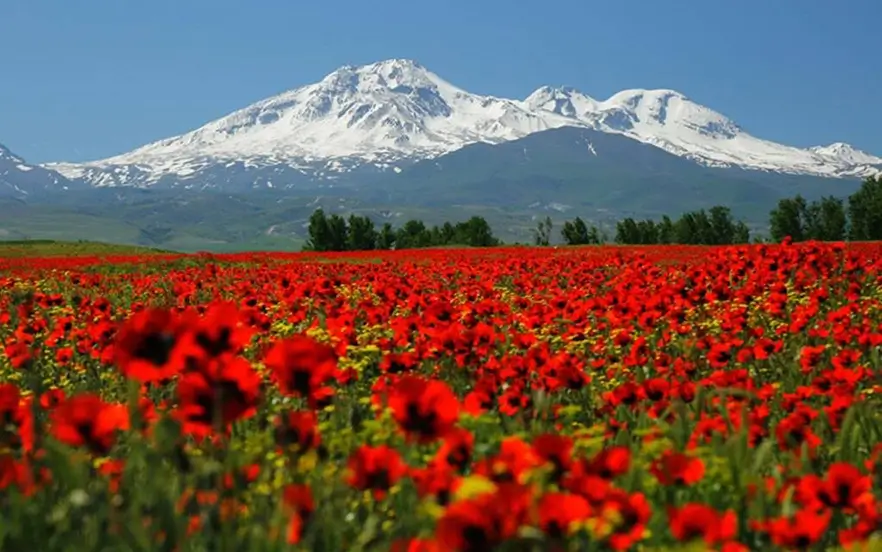 کوه سبلان