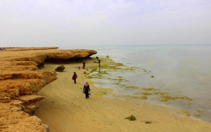 جمع آوری زباله از ساحل نایبند توسط مسافران