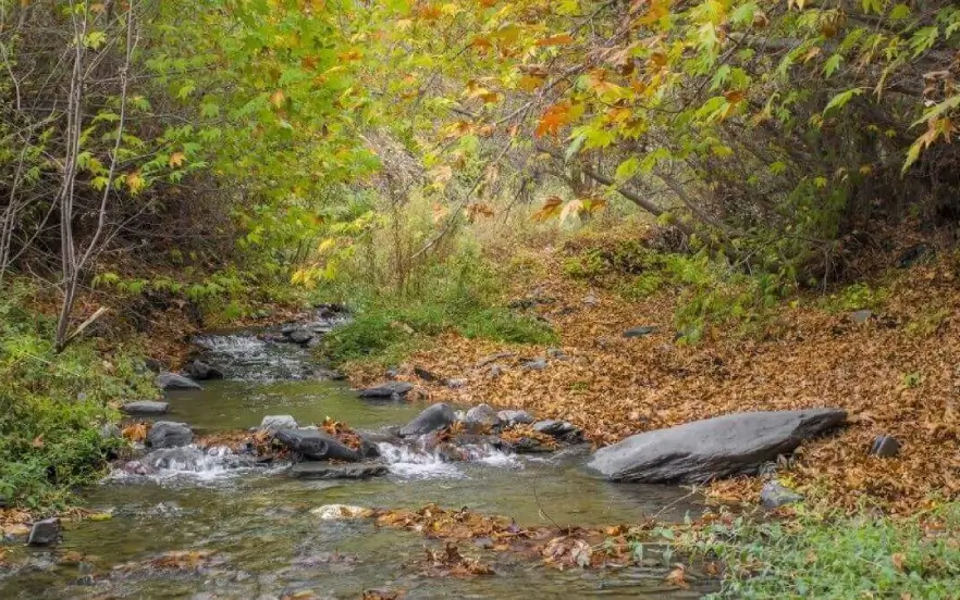 طبیعت پاییزی روستای جاغرق