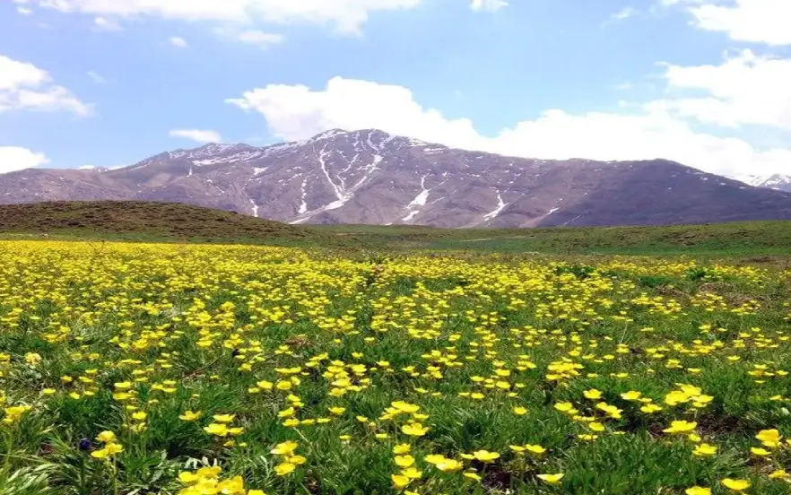 پارک ملی لار