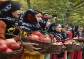 جشن انار کردستان روستای سلین