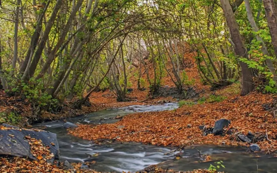 زیبایی پاییز در شاندیز مشهد