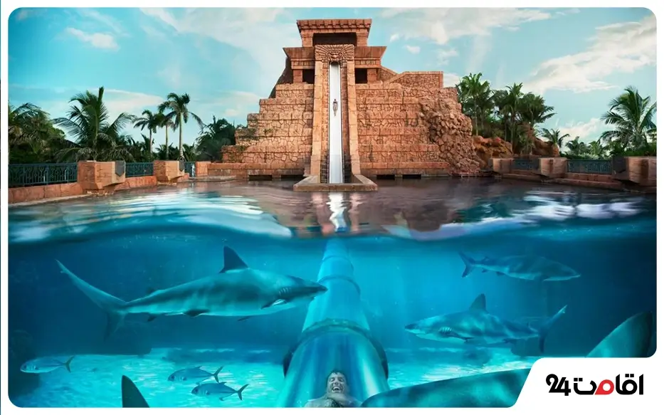 Aquaventure باهاماس پارک آبی