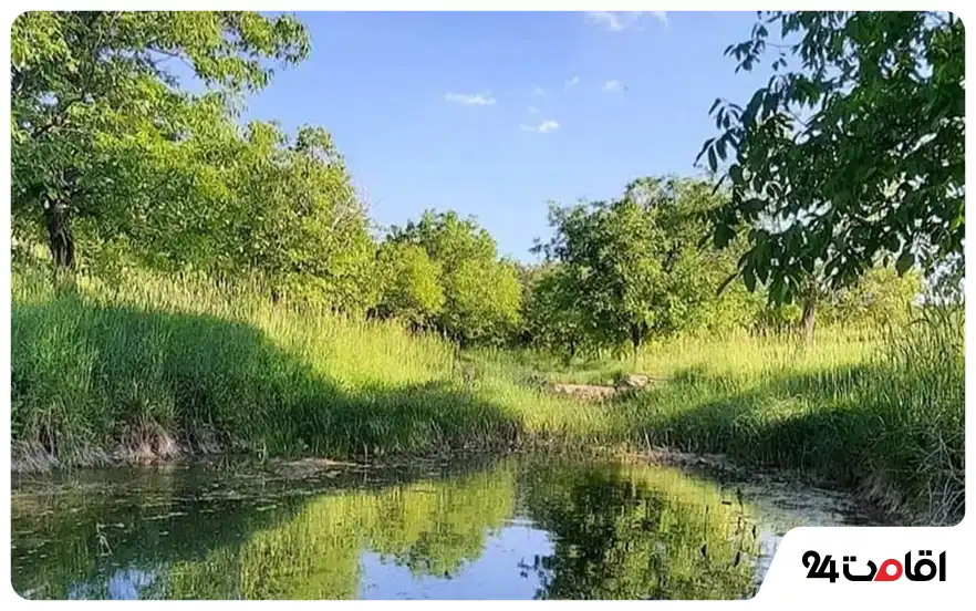 چشمه‌های روستای کندر